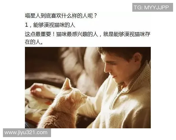 足球明星与猫的奇妙缘分揭秘哪位球星对猫情有独钟